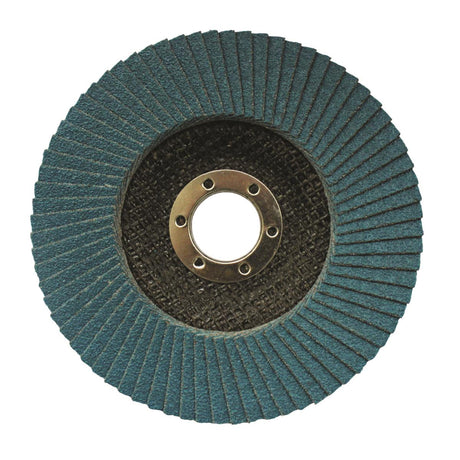 Kotouč lamelový na nerez, D125, d22,2, t7,25 mm, P40